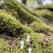 ヒメ日記 2025/05/17 10:14 投稿 じゅり 梅田ゴールデン倶楽部