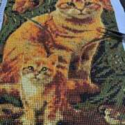 ヒメ日記 2026/01/22 15:12 投稿 せんり 梅田ゴールデン倶楽部