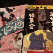 ヒメ日記 2026/02/20 15:52 投稿 せんり 梅田ゴールデン倶楽部