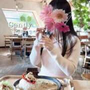 ヒメ日記 2026/02/21 12:25 投稿 カナ キャンディ(鹿児島)