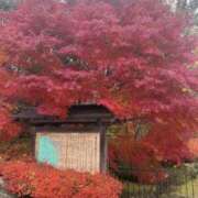 らん おはようございます 梅田ゴールデン倶楽部