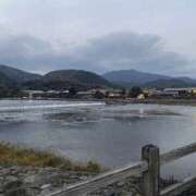 ヒメ日記 2026/01/27 09:32 投稿 らん 梅田ゴールデン倶楽部