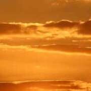 ヒメ日記 2026/01/29 13:32 投稿 らん 梅田ゴールデン倶楽部