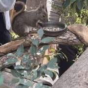 ヒメ日記 2026/03/19 09:42 投稿 らん 梅田ゴールデン倶楽部