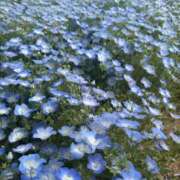 ヒメ日記 2025/04/26 14:13 投稿 桜音あいる 奴隷志願！変態調教飼育クラブ本店