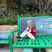 桜音あいる 取り急ぎ💦 奴隷志願！変態調教飼育クラブ本店