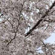 ヒメ日記 2026/03/31 21:42 投稿 るか 梅田ゴールデン倶楽部