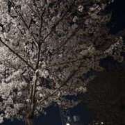 るか 今日もありがとうございました 梅田ゴールデン倶楽部