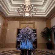 ヒメ日記 2025/03/20 18:53 投稿 みさ メンエス案内所