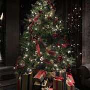 ヒメ日記 2025/11/21 09:26 投稿 みさ メンエス案内所