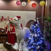 ヒメ日記 2025/11/26 17:51 投稿 みさ メンエス案内所