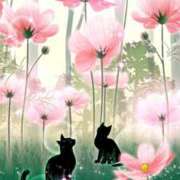 ヒメ日記 2025/10/01 01:42 投稿 桜井 熟女の風俗最終章　鶯谷店