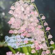 ヒメ日記 2025/10/03 15:00 投稿 桜井 熟女の風俗最終章　鶯谷店