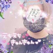 ヒメ日記 2025/11/11 15:26 投稿 桜井 熟女の風俗最終章　鶯谷店