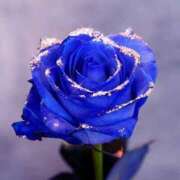 ヒメ日記 2026/01/15 21:49 投稿 桜井 熟女の風俗最終章　鶯谷店