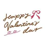 ヒメ日記 2026/02/06 14:16 投稿 桜井 熟女の風俗最終章　鶯谷店