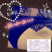 ヒメ日記 2026/02/09 20:36 投稿 桜井 熟女の風俗最終章　鶯谷店