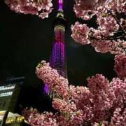 ヒメ日記 2026/03/03 14:46 投稿 桜井 熟女の風俗最終章　鶯谷店