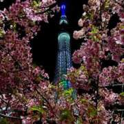 ヒメ日記 2026/03/05 02:46 投稿 桜井 熟女の風俗最終章　鶯谷店