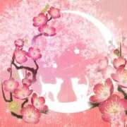 ヒメ日記 2026/03/17 22:06 投稿 桜井 熟女の風俗最終章　鶯谷店