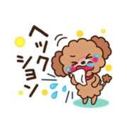 ヒメ日記 2026/03/27 23:26 投稿 桜井 熟女の風俗最終章　鶯谷店