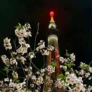 ヒメ日記 2026/04/14 23:06 投稿 桜井 熟女の風俗最終章　鶯谷店