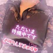 ヒメ日記 2026/08/05 18:38 投稿 桜井 熟女の風俗最終章　鶯谷店