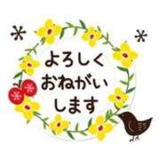 ヒメ日記 2026/08/10 09:19 投稿 桜井 熟女の風俗最終章　鶯谷店