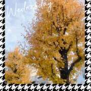 ヒメ日記 2024/12/12 11:42 投稿 れいか 錦糸町ミセスアロマ（ユメオト）