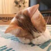 ヒメ日記 2025/01/16 14:25 投稿 るり 脱がされたい人妻 宇都宮店