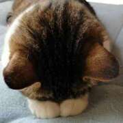 ヒメ日記 2025/02/02 09:54 投稿 るり 脱がされたい人妻 宇都宮店