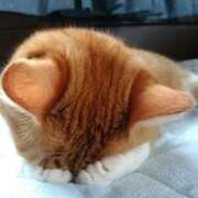 ヒメ日記 2025/03/23 10:01 投稿 るり 脱がされたい人妻 宇都宮店