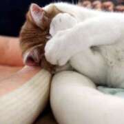 ヒメ日記 2025/04/10 23:27 投稿 るり 脱がされたい人妻 宇都宮店