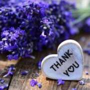 ヒメ日記 2025/04/27 01:52 投稿 るり 脱がされたい人妻 宇都宮店