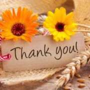 ヒメ日記 2025/06/27 11:59 投稿 るり 脱がされたい人妻 宇都宮店