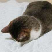 ヒメ日記 2025/09/12 09:26 投稿 るり 脱がされたい人妻 宇都宮店