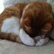 ヒメ日記 2025/09/30 18:56 投稿 るり 脱がされたい人妻 宇都宮店