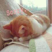 ヒメ日記 2025/11/25 16:44 投稿 るり 脱がされたい人妻 宇都宮店