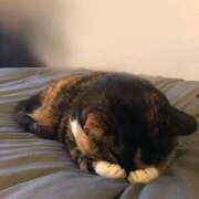 ヒメ日記 2026/04/10 17:12 投稿 るり 脱がされたい人妻 宇都宮店