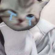 ヒメ日記 2025/06/07 00:49 投稿 ねね 上野ハンドメイド