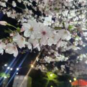 ヒメ日記 2026/03/31 07:19 投稿 石井 人妻楼 熊谷店