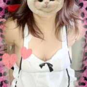 ヒメ日記 2026/03/31 20:58 投稿 石井 人妻楼 熊谷店