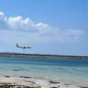 ヒメ日記 2025/03/14 20:42 投稿 もも お姉京都