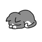 ヒメ日記 2026/04/02 13:22 投稿 もも お姉京都