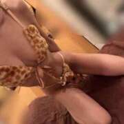 ヒメ日記 2026/04/07 17:22 投稿 もも お姉京都