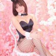 ヒメ日記 2024/03/09 15:03 投稿 ひめの TOKYO BUNNYS CLUB