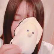 ヒメ日記 2026/02/15 12:19 投稿 のぞみ カワサキEROTIC（ソープランド）