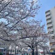 ヒメ日記 2025/04/03 12:23 投稿 えま カワサキEROTIC（ソープランド）