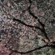 ヒメ日記 2026/04/08 12:26 投稿 えま カワサキEROTIC（ソープランド）