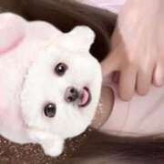 ヒメ日記 2026/01/06 17:51 投稿 まりな　業界未経験 CHARMANT（シャルマン）